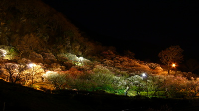 湯河原梅園