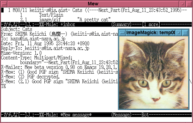 a snapshot of PGP/MIME