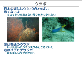 表示モード 表示モード
