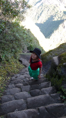 ワイナピチュの登山路