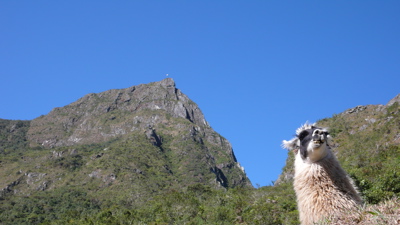 マチュピチュ山